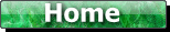 home button